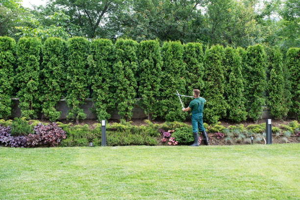 Lawn Drainage Solutions in Huntingtown, MD